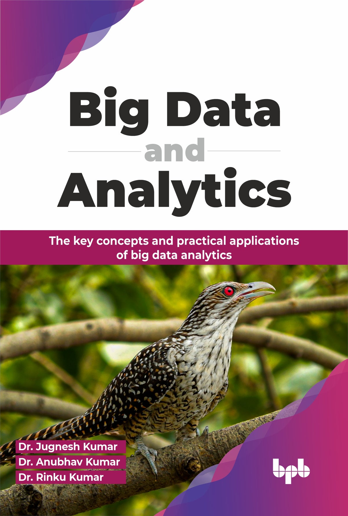 Big Data and Analytics (Hindi Edition)