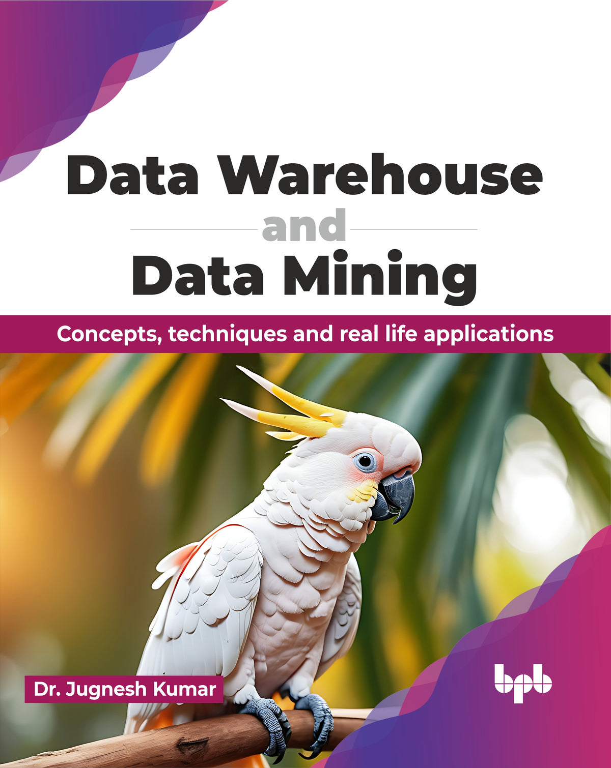 Data Warehouse and Data Mining (Hindi Edition)