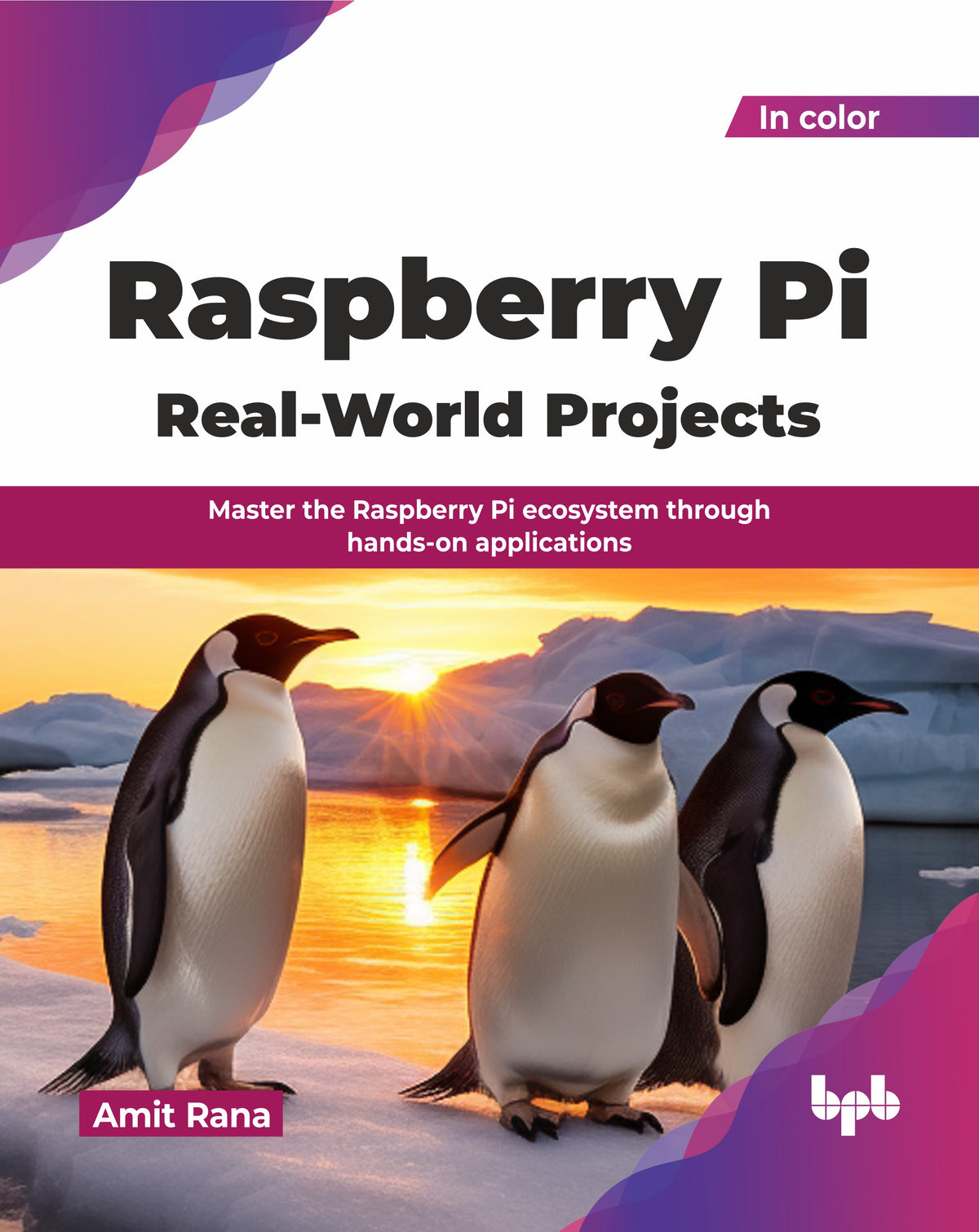 Raspberry Pi Real-World Projects
