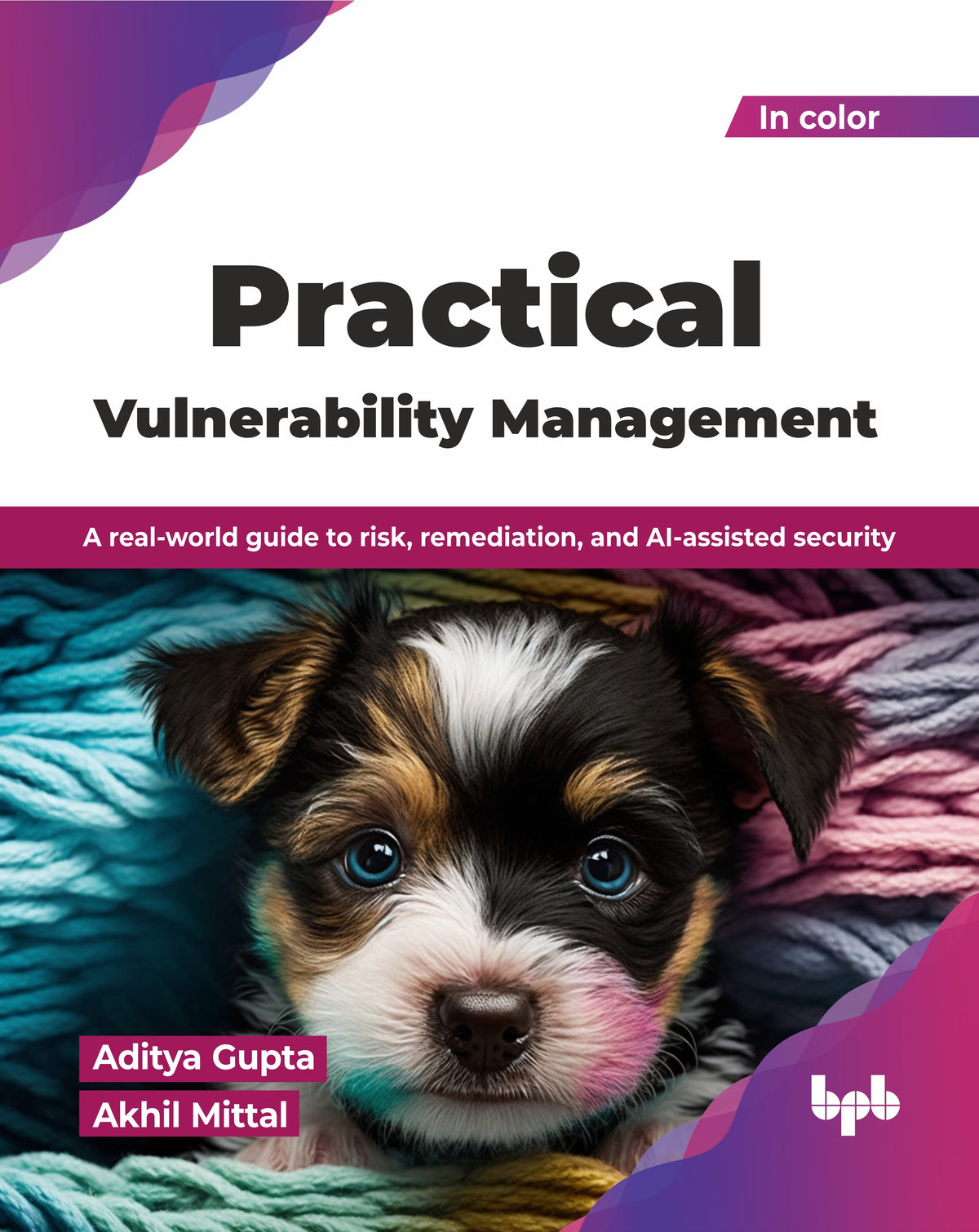 Practical Vulnerability Management