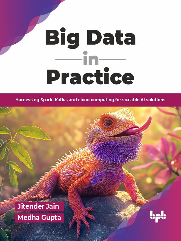 Big Data in Practice