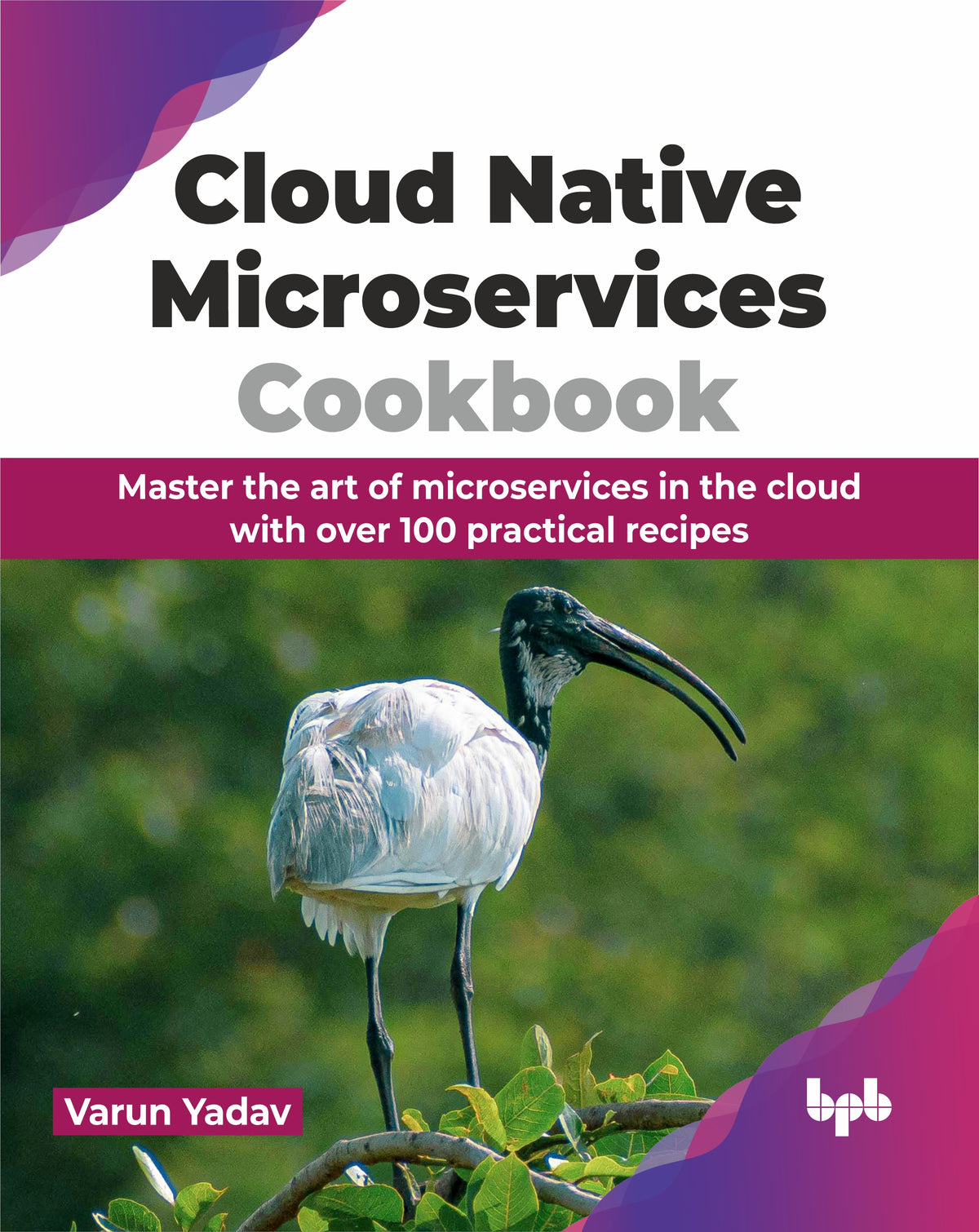 Cloud Native Microservices Cookbook (Hindi Edition)