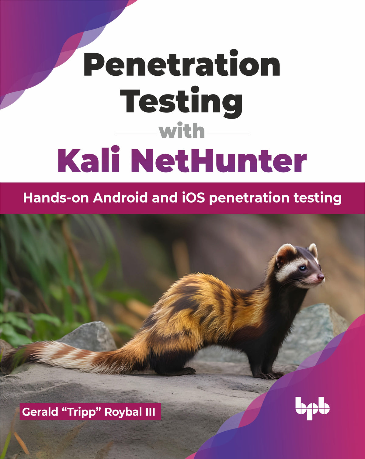 Penetration Testing with Kali NetHunter (Hindi Edition)