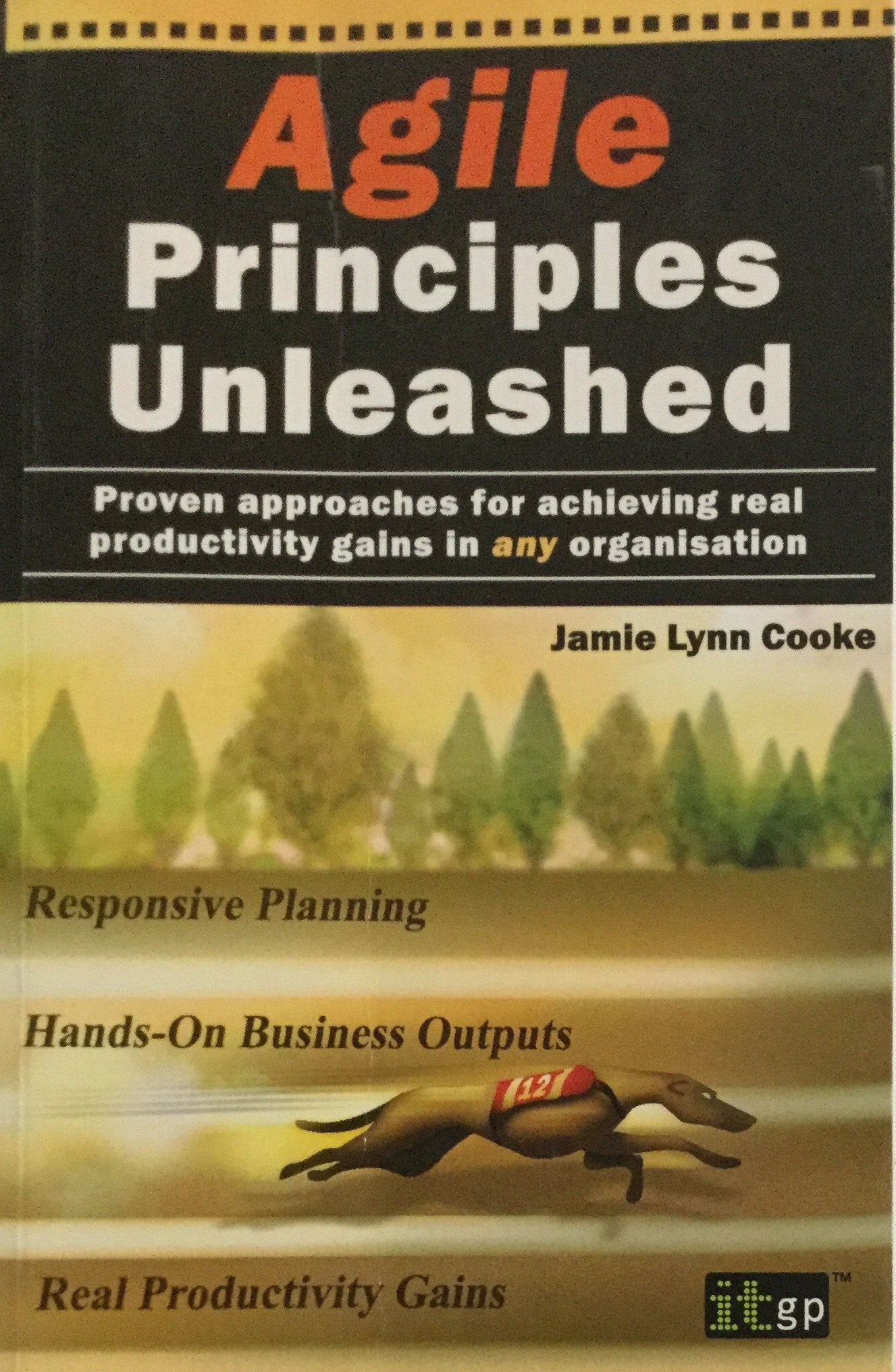 Agile Principles Unleashed Proven
