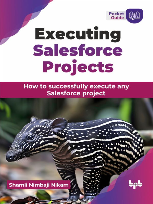 Executing Salesforce Projects