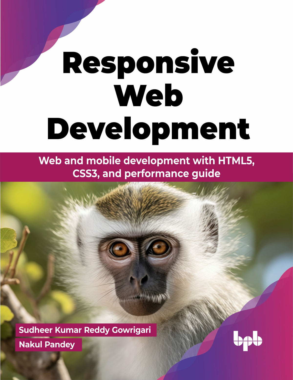 Responsive Web Development (Hindi Edition)