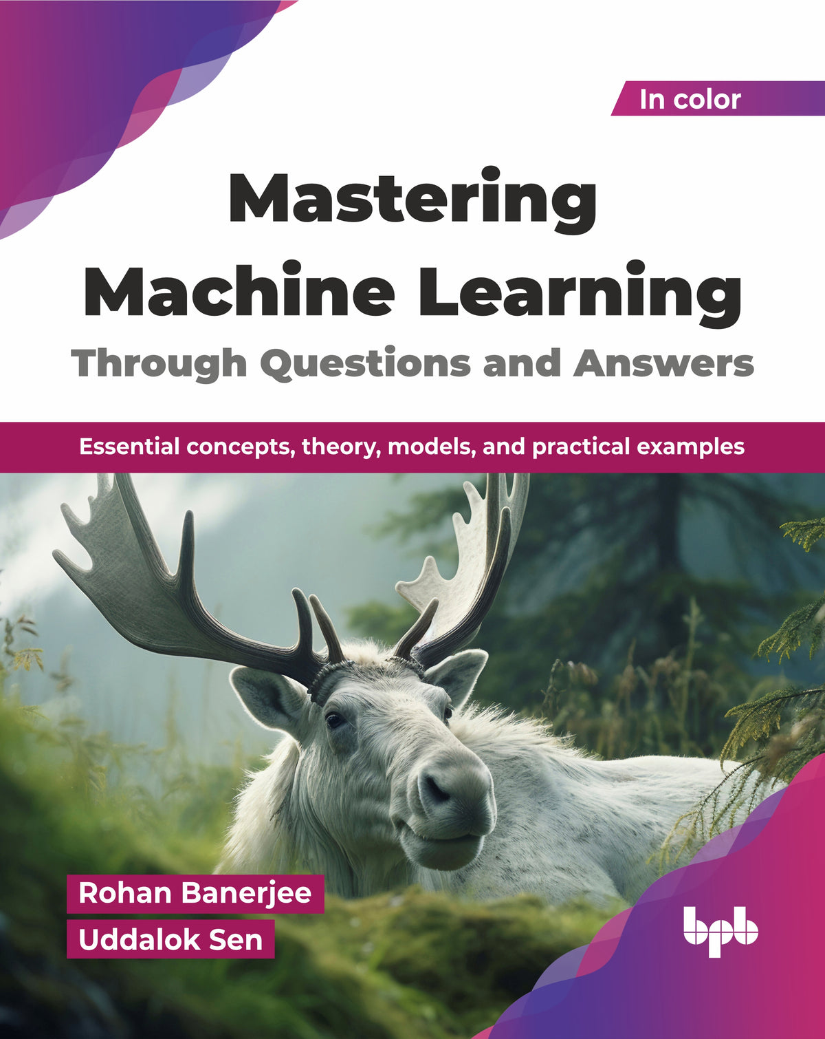 Mastering Machine Learning Through Questions and Answers