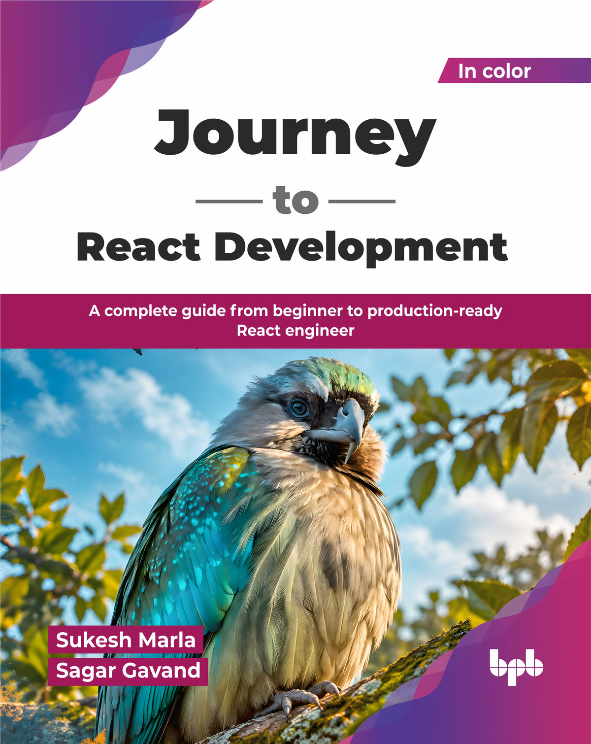 Journey to React Development