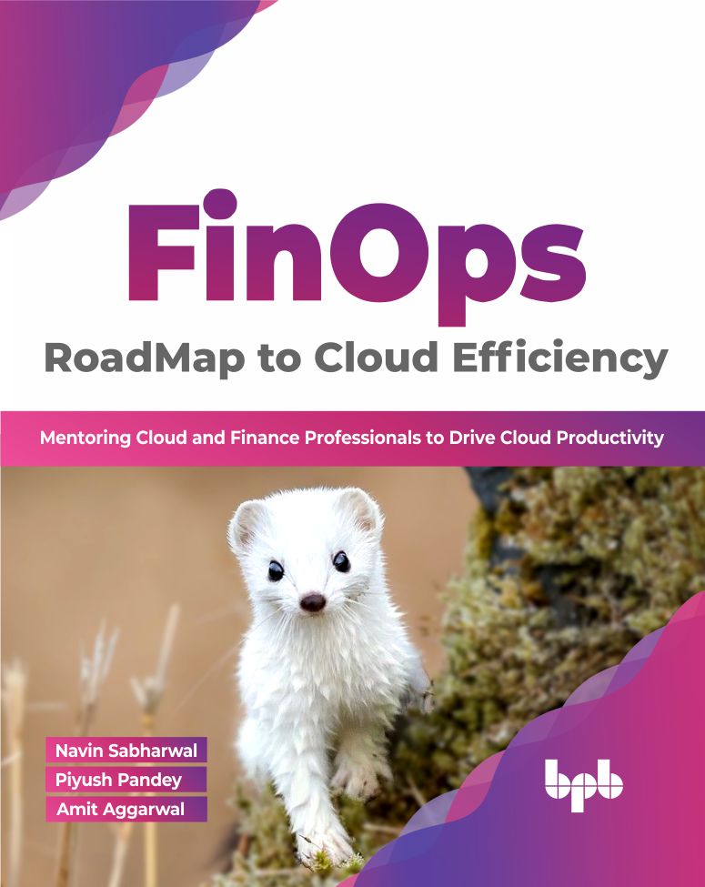 FinOps : RoadMap to Cloud Efficiency (Hindi Edition)