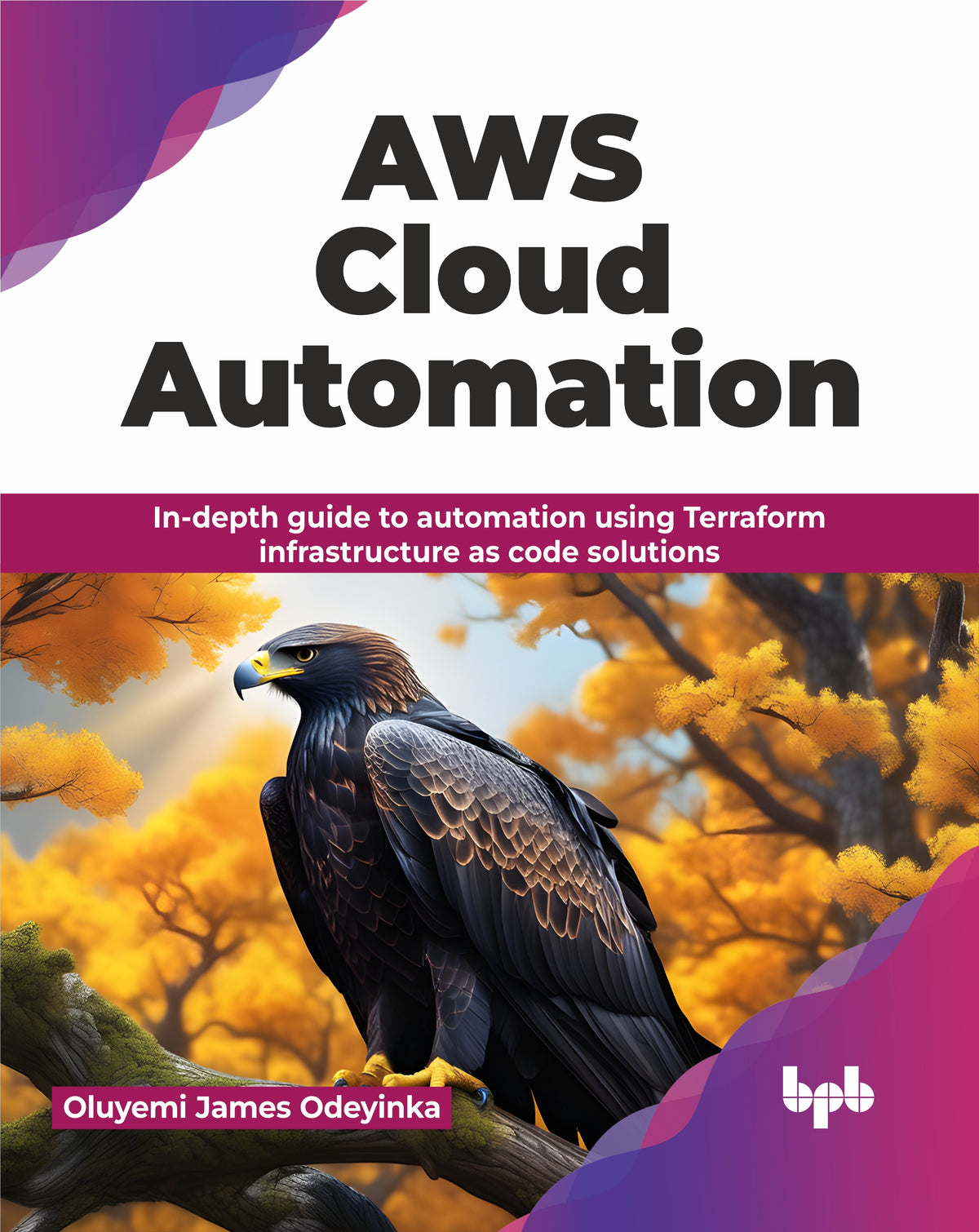 AWS Cloud Automation (Hindi Edition)