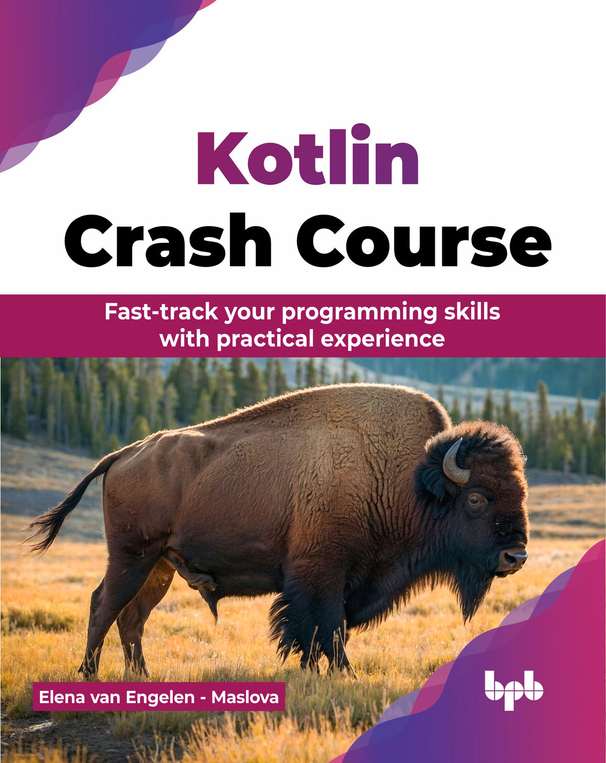 Kotlin Crash Course (Hindi Version)